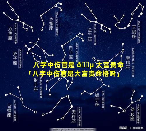 八字中伤官是 🐵 大富贵命「八字中伤官是大富贵命格吗」